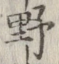 已定位野