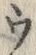 「ウ」字