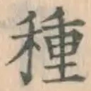 글자 種