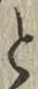 文字と