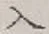 字入