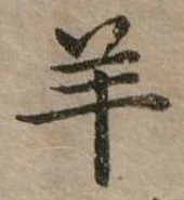 羊 위치 확인됨