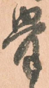 骨 위치 확인됨
