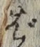 글자 ば