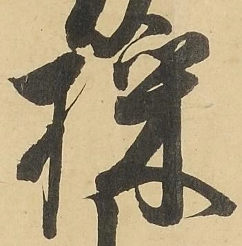 採の位置