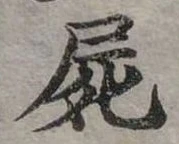 已定位屍