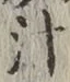 글자 汁