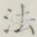 글자 法