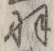 羽の位置