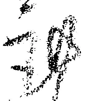 Đã định vị 謹