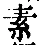 글자 素