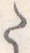 Đã định vị 𛁠