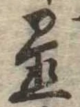 置 위치 확인됨