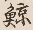 Character 鯨