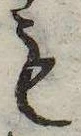 㐌定位𣗓檊