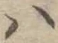 𛂞 위치 확인됨