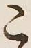 文字こ