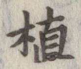 植 위치 확인됨