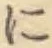 Chữ に