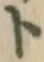 글자 ト
