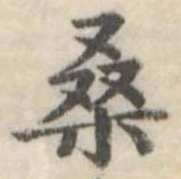 Đã định vị 桑