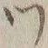 文字 ツ
