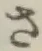 文字 さ