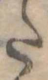 Đã định vị 𛁠