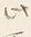 Character 此