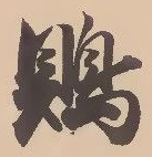 Đã định vị 鵙