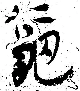 已定位亀