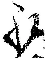 已定位永