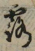 露の位置