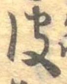 已定位皮