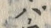 字バ