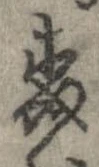 森 위치 확인됨