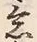 文字意