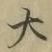 Character 大