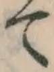 文字て