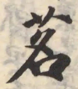 位置定マレル茗