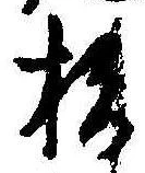位置定マレル杉