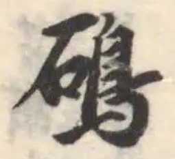 䲽 위치 확인됨