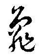已定位亀