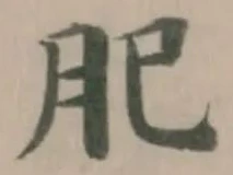 𦘺の位置