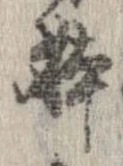位置 確認된 未指定