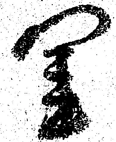 閨の位置