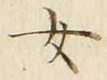 「女」字