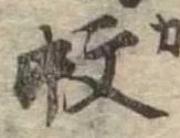 位置 確認된 蚊