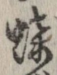 已定位蝶
