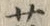 文字廿